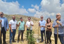 Caretaker Ministers Partake In Launching Of “Eternal Love Forest” Organized By “Green Cedar Lebanon” Association In Kfardebian